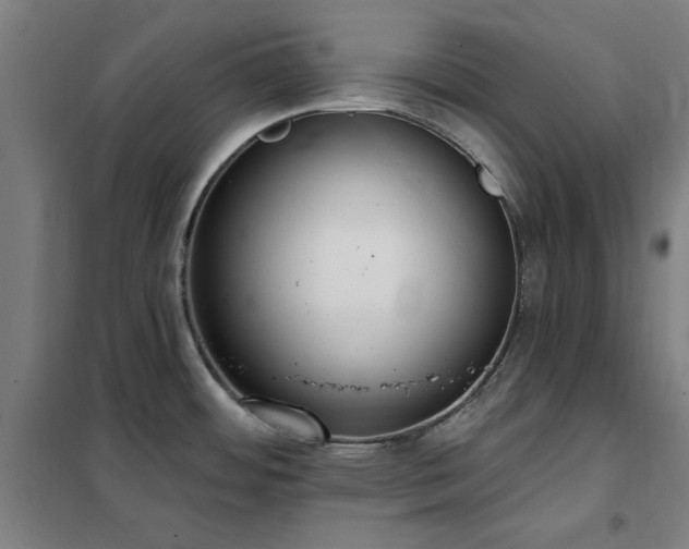 X0000102291484200807251410