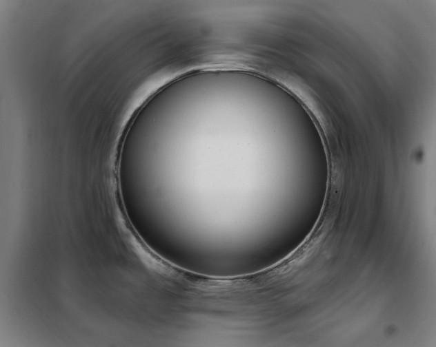 X0000102291485200807251410