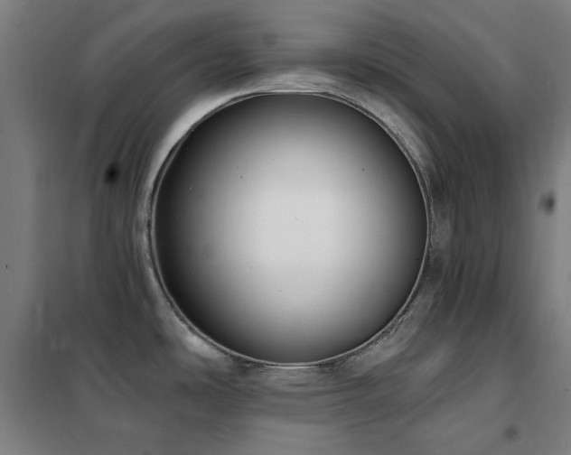 X0000102291486200807251410