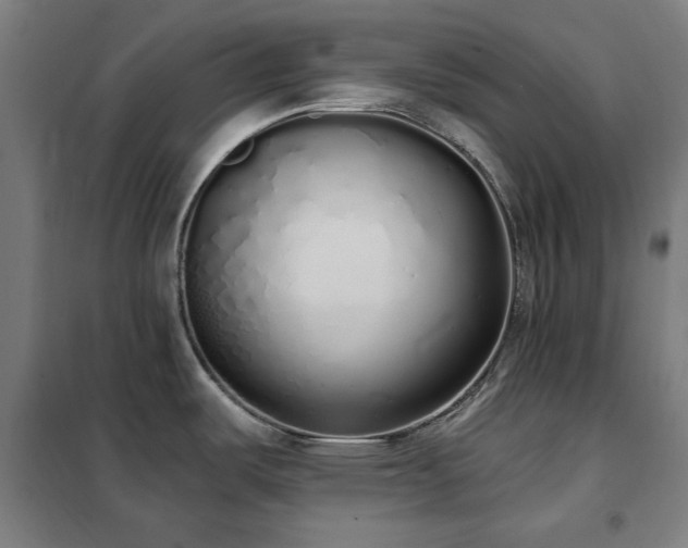 X0000102291487200807251410