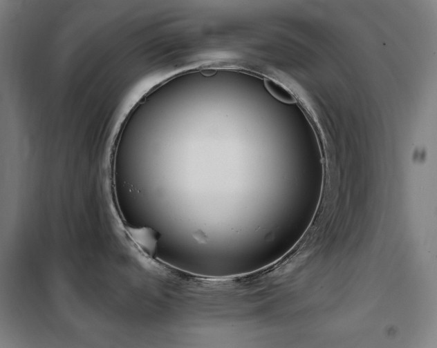 X0000102291488200807251410