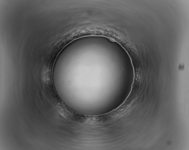 X0000102291490200807251409