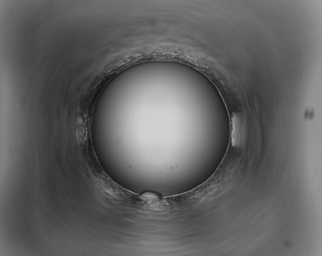 X0000102291491200807251409