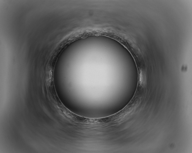 X0000102291492200807251409