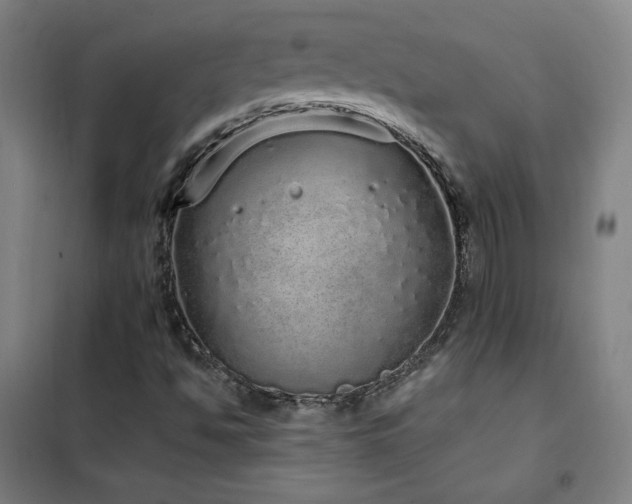 X0000102291494200807251409