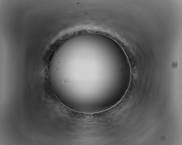 X0000102291495200807251409