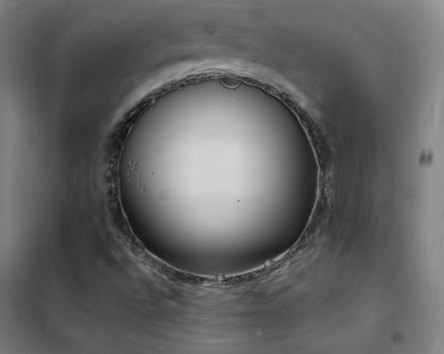 X0000102291496200807251409