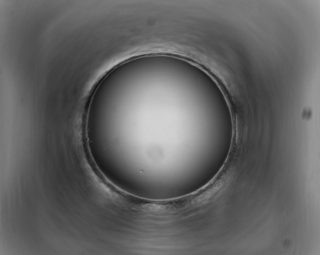 X0000102291500200807251409