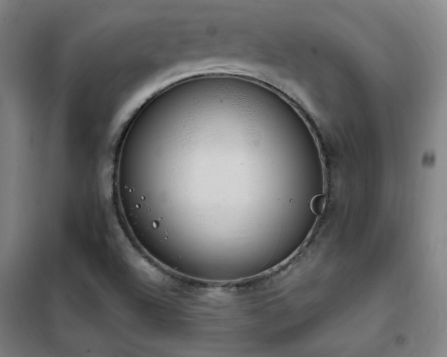 X0000102291504200807251409