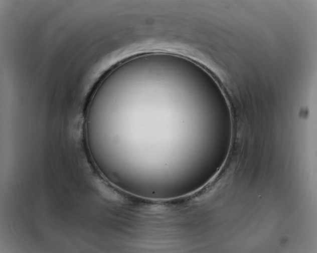 X0000102291507200807251409