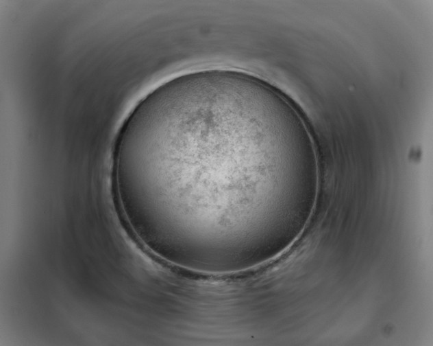 X0000102291508200807251409