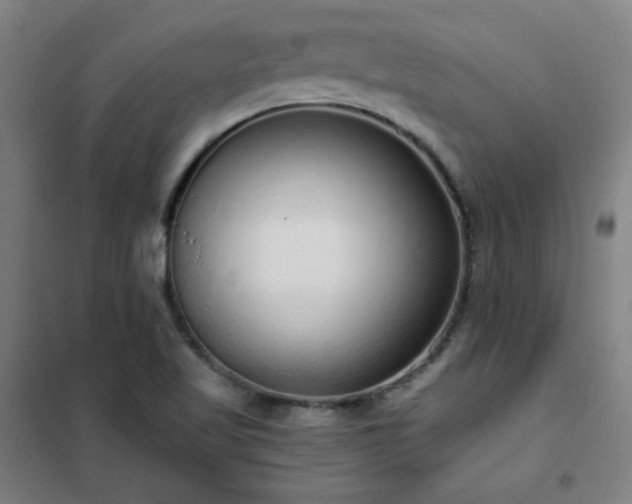 X0000102291509200807251409