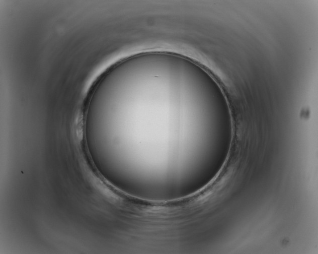 X0000102291510200807251409