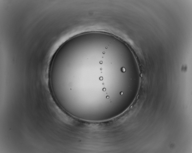 X0000102291512200807251409