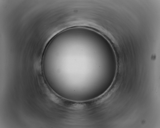 X0000102291513200807251409