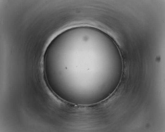 X0000102291516200807251409