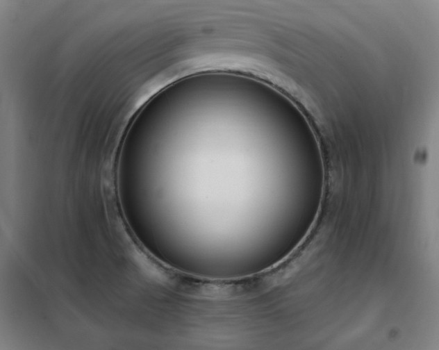 X0000102291521200807251410