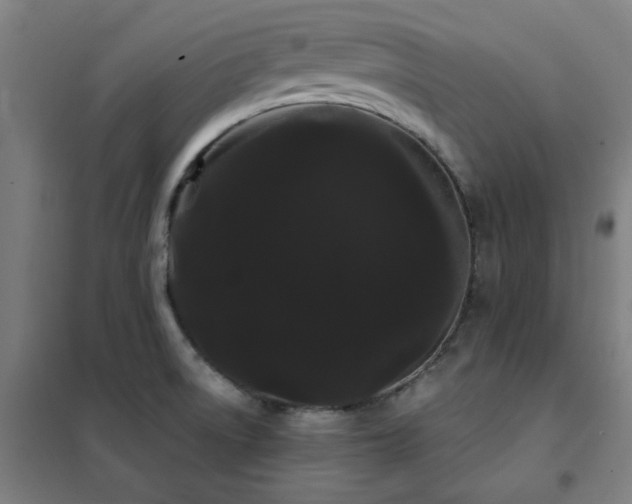 X0000102291522200807251410