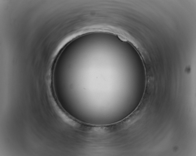 X0000102291523200807251410