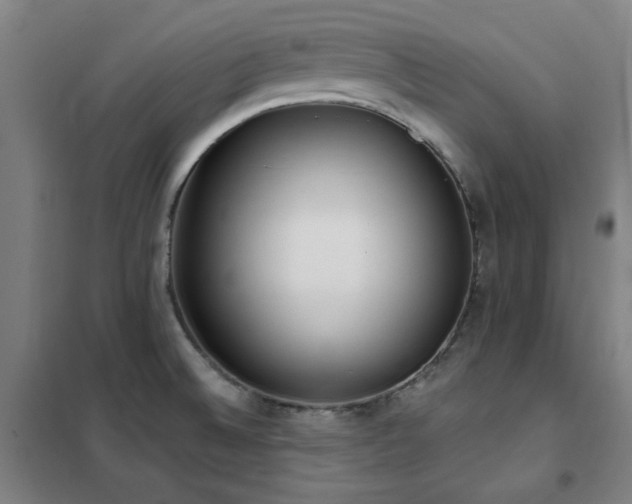 X0000102291524200807251410