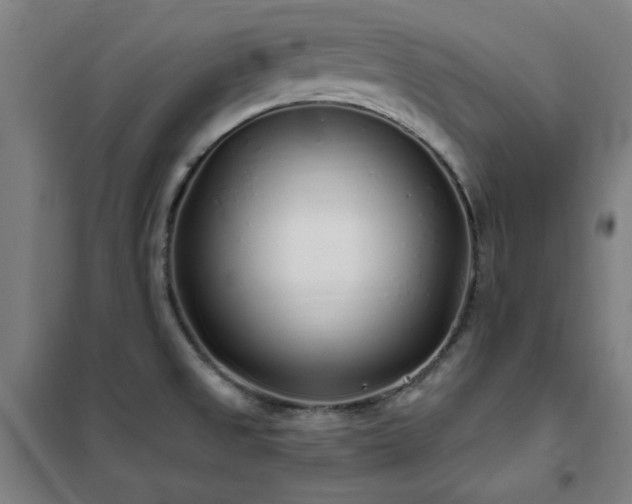 X0000102291525200807251410