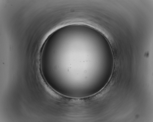 X0000102291526200807251410