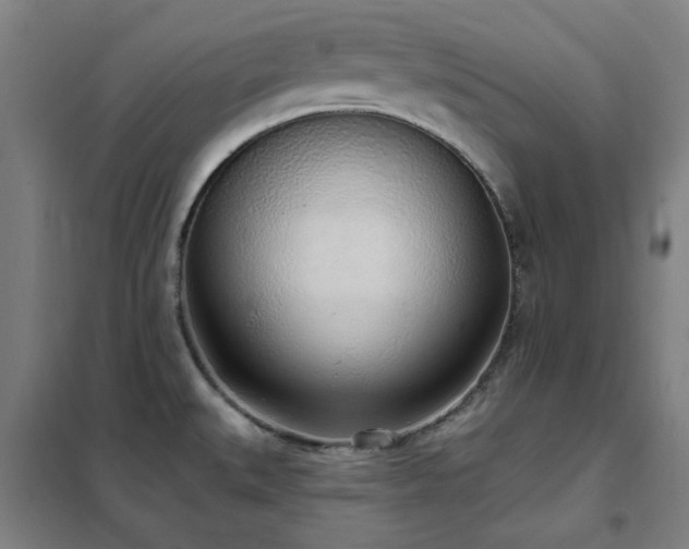 X0000102291527200807251410