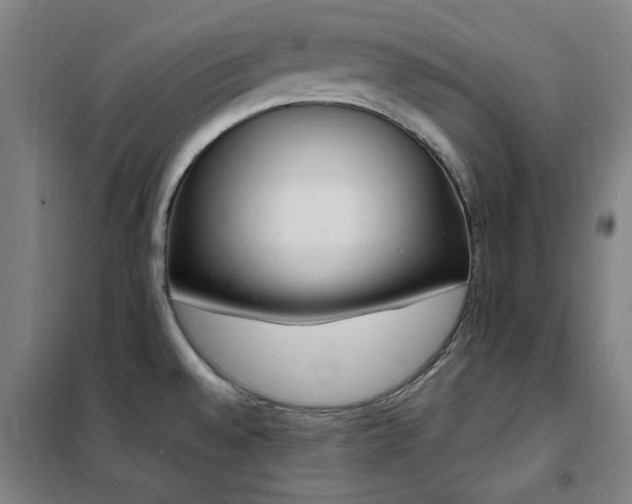 X0000102291528200807251410