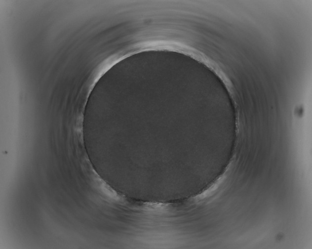 X0000102291529200807251410