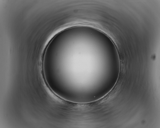 X0000102291531200807251410