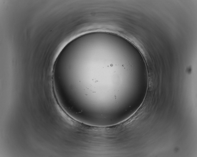 X0000102291532200807251410