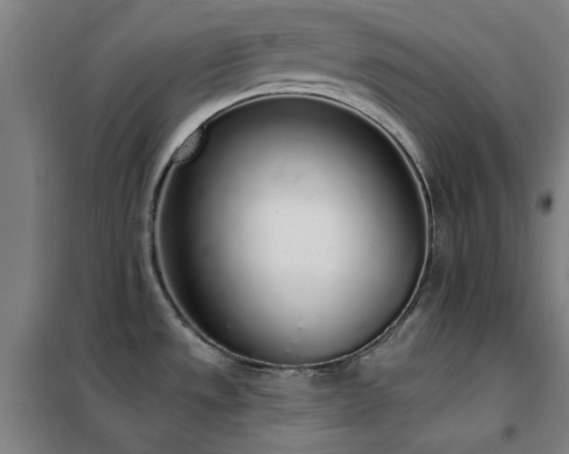 X0000102291533200807251410