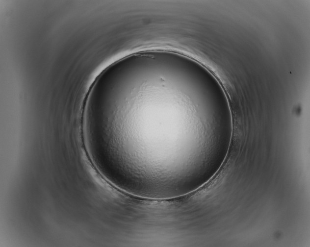 X0000102291534200807251410