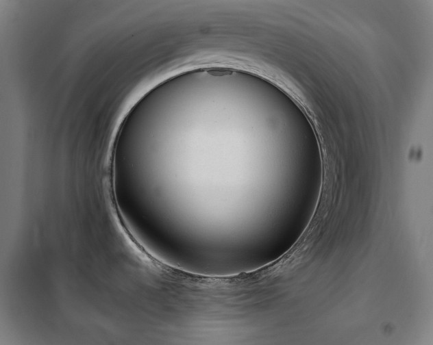 X0000102291536200807251410
