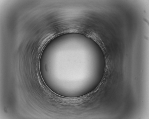 X0000102290001200808011523