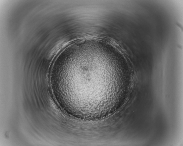 X0000102290002200808011523