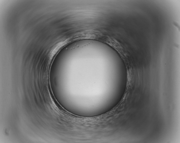 X0000102290003200808011523