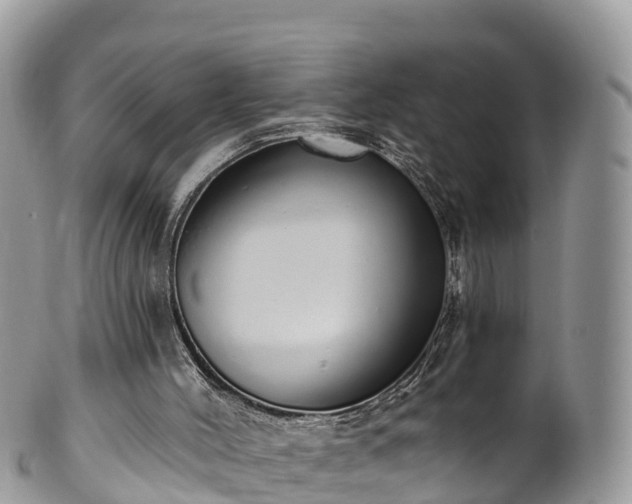 X0000102290004200808011523