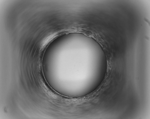 X0000102290005200808011523