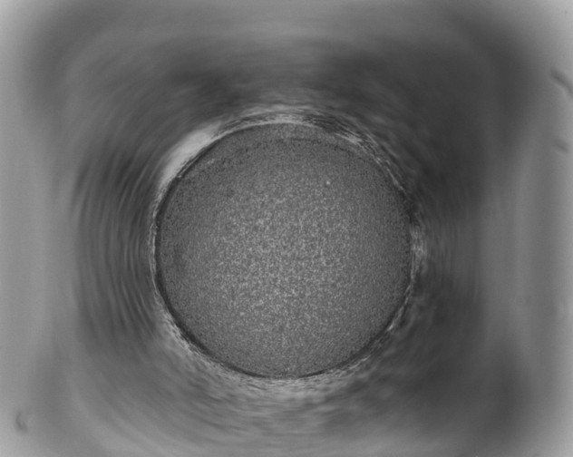 X0000102290006200808011523