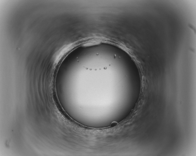 X0000102290007200808011523