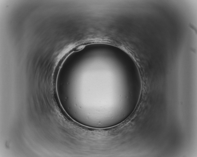 X0000102290008200808011523