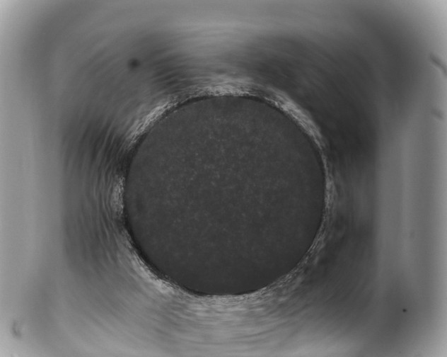 X0000102290009200808011523