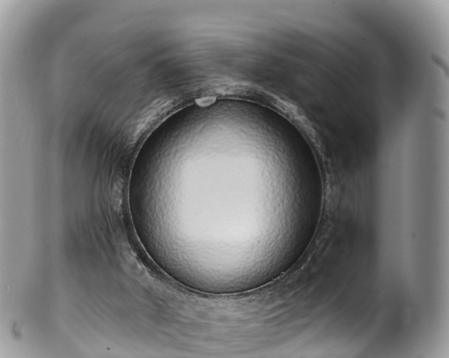 X0000102290010200808011523