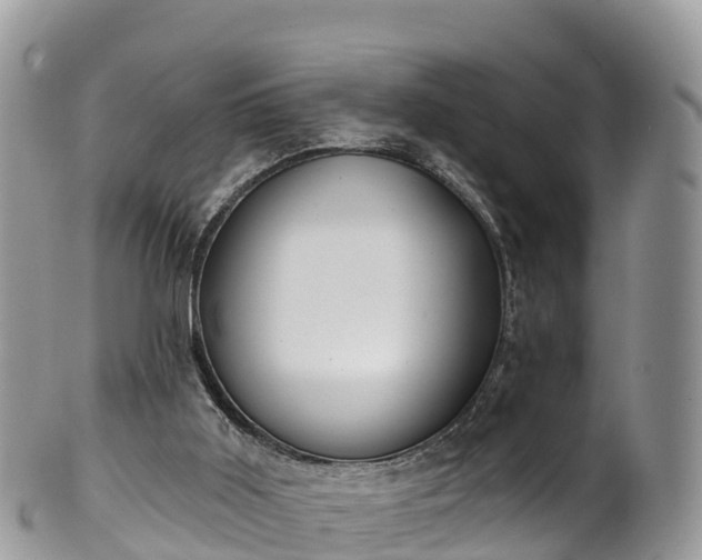 X0000102290011200808011523