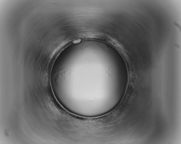 X0000102290012200808011523