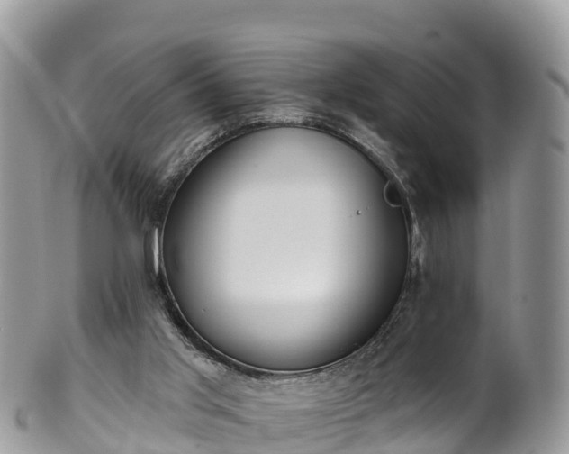 X0000102290013200808011523