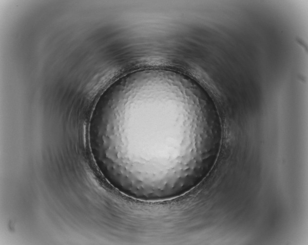 X0000102290014200808011523