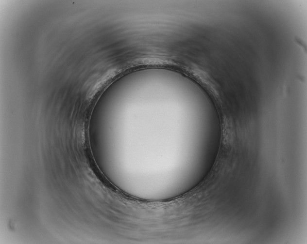 X0000102290015200808011523