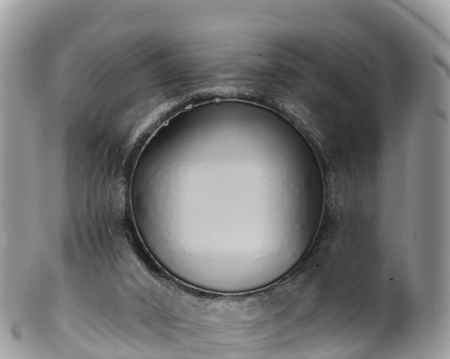 X0000102290016200808011523